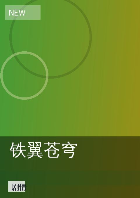 铁翼苍穹